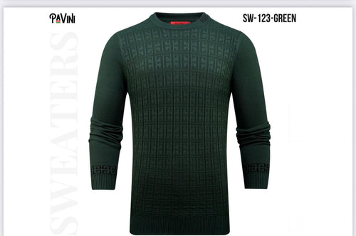#123 GREEN SWEATER PAVINI image 0